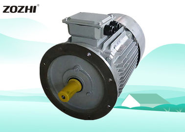 Y2 Squirrel 3 Phase Induction Motor 4 Pole 11KW /15HP For Biomass Pellet Machine