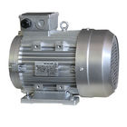 24mm Shaft Asynchronous Induction Motor AR Interpump For Pressure Washers