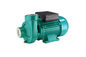 Sewage Water Pump with iron cost pump body  for agricultural sewage transfer pump