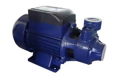 2850 RPM Clean Water Pump QB 70 0.55 KW 0.75 HP For Garden Irrigation