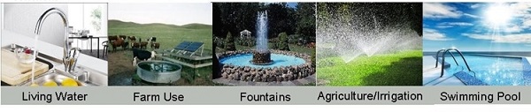 0.5 Hp Electric Motor Water Pump Garden Watering Electric Water Transfer Pump