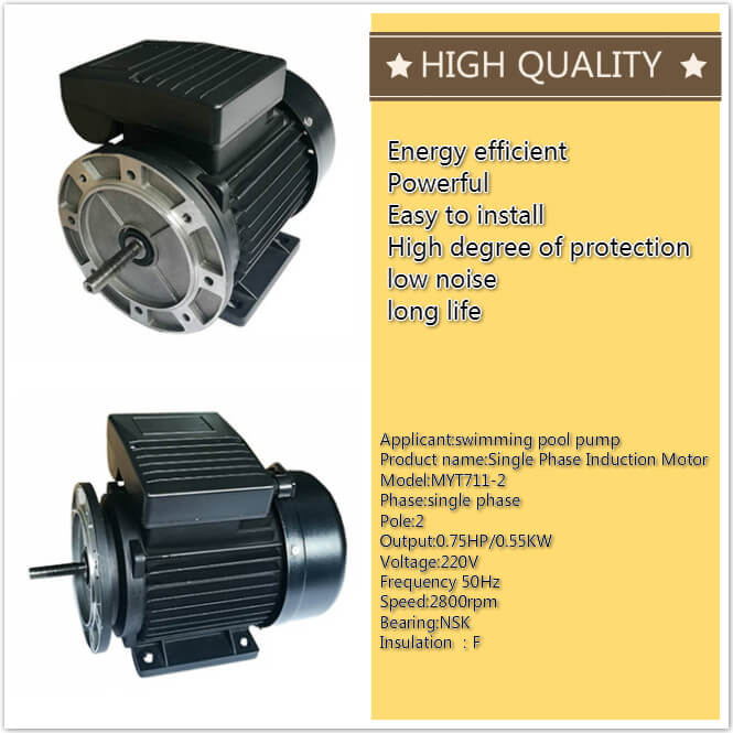 single phase induction motor