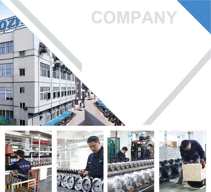 7.5Hp 5.5Kw 6-Pole Waterproof 900Rpm 380V Aluminium Enclosed Asynchronous Motor Three-Phase 50Hz/60Hz 400V Electric Motor 14