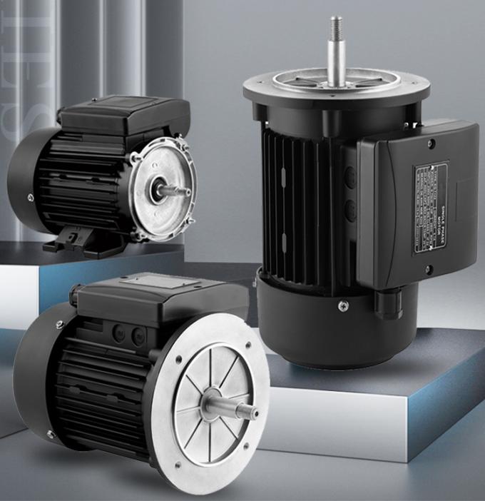 Swimming Pool Pump 2800rpm Single-Phase Asynchronous Motor with Waterproof Aluminium Housing and 220V 50Hz Frequency 1