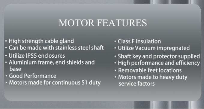 Swimming Pool Pump 2800rpm Single-Phase Asynchronous Motor with Waterproof Aluminium Housing and 220V 50Hz Frequency 4