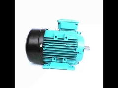 single phase induction motor