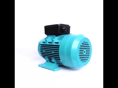 induction motor single phase