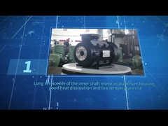 ZOZHI HS100L3-4  5.5HP/4KW