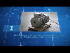 ZOZHI HS100L3-4 5.5HP/4KW Hollow shaft motor black color