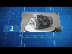 MS100L-2 IE3  4HP/3KW