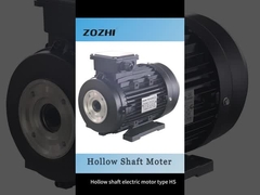 Three Phase Asynchronous Hollow Shaft Electric Motor AC Induction Motor For Washing Machine