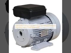 IMB3/IMB5 3 Phase Induction Motor for 50Hz/60Hz Rated Frequency with ≤75dB Noise Level
