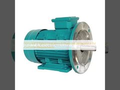 50Hz/60Hz Rated Frequency 3 Phase Induction Motor for Customer Requirements
