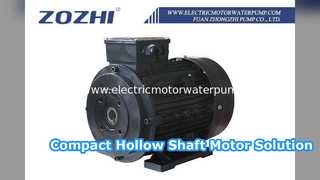Compact Hollow Shaft Motor for High Pressure Washers