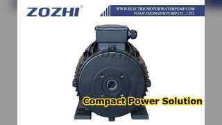 Hollow Shaft Motor for Pressure Washers 5.5kW