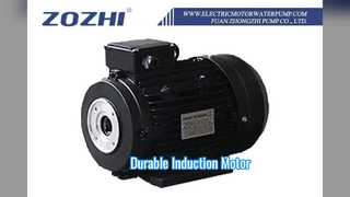 Industrial Induction Motor  Frame Reliable Power