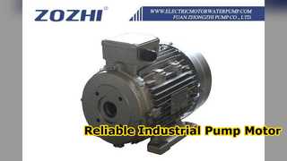 Industrial Hollow Shaft Motor For Water Pumps