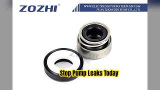 Burgmann 301 Mechanical Seal High Performance Pump Repair
