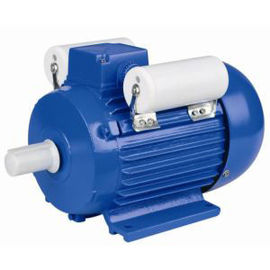 Dual Capacity Single Phase Induction Motor Easy Maintenance For Pumps