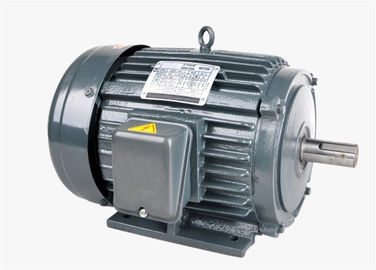 Squirrel Cage 3 Phase Asynchronous Induction Motor 0.25HP For Driving