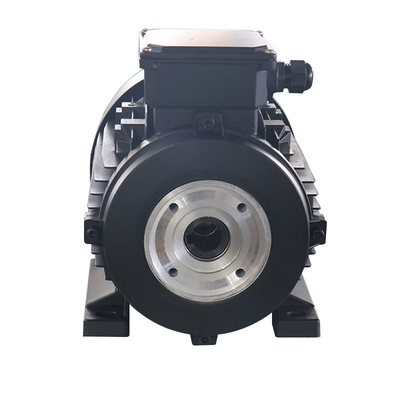 HS100L2-4 4hp 3kw Hollow Shaft Electric Motor Three Phase For Car High Pressure Cleaner