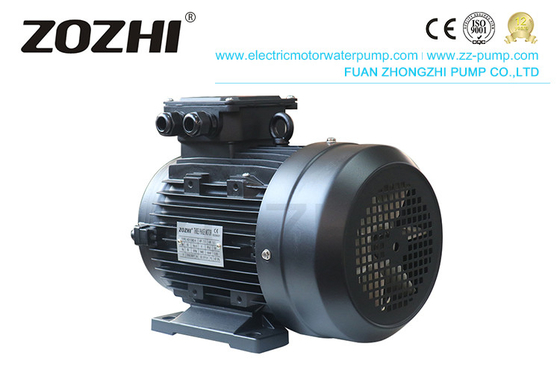 HS112M3-4 8.5hp 6.2kw Hollow Shaft Motor 3 Phase For Waterjet High Pressure Pump