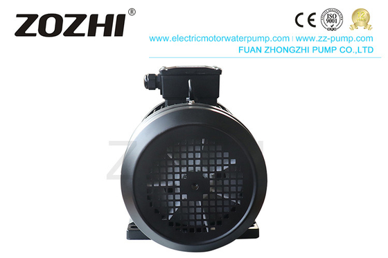 Cleaning Machine Hollow Shaft Induction Motor Zozhi HS112m2-4 7.5hp 5.5kw 3 Phase