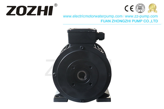 Cleaning Machine Hollow Shaft Induction Motor Zozhi HS112m2-4 7.5hp 5.5kw 3 Phase