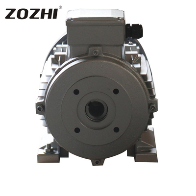 35Kg IP55 Hollow Shaft AC Motor 24mm Diameter Manufactured By ZOZHI Motor