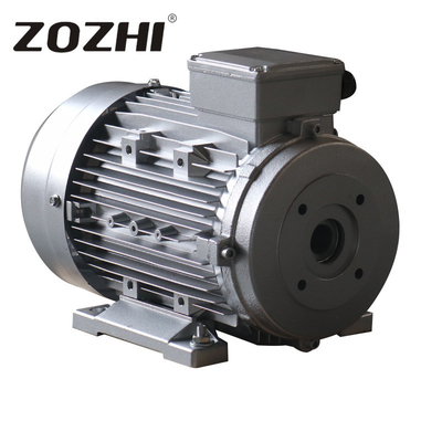 IP55 Protection Class Three Phase Hollow Shaft Electric Motor With IE2 Efficiency 5.5KW