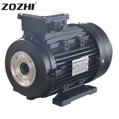 IP55 Protection Class Three Phase Hollow Shaft Electric Motor With IE2 Efficiency 5.5KW