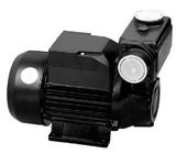 TPS  Series Domestic Water Pumps Precision Casting Motor Housing 1HP / 0.75KW