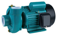 PX 0.75kw 1.1kw 2.2kw  Electric AC Centrifugal Pumps 100% Copper Wire With  For Watering