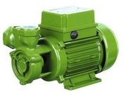 Small Electric Peripheral Water Pump Single Phase With Thermal Overload Protector