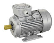 MS Series Three-Phase Ac Electric Motor With Aluminium Housing