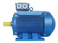 High Voltage 3 Phase Induction Motor / Squirrel Cage Induction Motor
