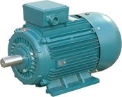 Low Noise Asynchronous 3 Phase Induction Motor 430hp 2 Pole Electric Motor