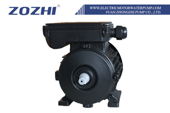1/2 Inch Shaft Diameter AC Motor for 220V Power Supply in Industrial Manufacturing