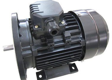 MINGDONG MS Series 3 Phase Induction Motor , 2 Pole Electric Motor B3 B5 B14 High Efficiency