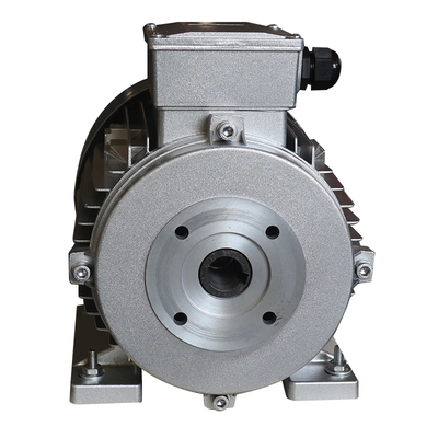 Low Noise IP55 Hollow Shaft Motor 24mm Shaft Diameter 100mm Shaft Length