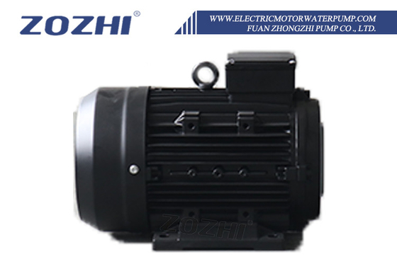 Three Phase Induction Hollow Shaft AC Motor for Manufacturing Processing Machinery