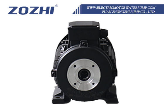5.5kW Hollow Shaft Motor for High Pressure Washer Systems with Aluminum Housing