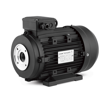 7.5hp/5.5kwThree phase hollow shaft motor 112M 24mm for high pressure washer Double Bearing