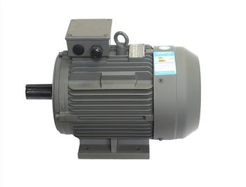 Heavy Duty High Efficiency AC Motor , Three Phase Electric Asynchronous Motor