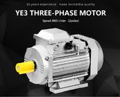 High Efficiency AC IE3 Motor, Energy Efficient Induction Motor Cast Iron Body