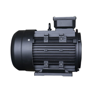 380V Pressure Washer Hollow Shaft Motor With IP55 Protection Class