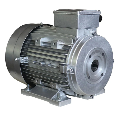 Custome Color Hollow Shaft Motor 8.8A Cool IC411 Efficiency F Insulation Class 1450rpm 50Hz