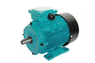 IE1 Efficiency Three Phase Induction Motor With Thermal Protection (PTC) 1.5kw 2 HP