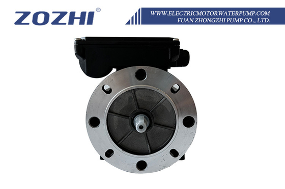 Single Phase Capacitor-run Induction Motors 0.09kw 0.12hp In Agricultural Fields