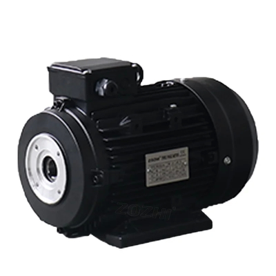 Customizable 3 Phases Hollow Shaft AC Motor for Dependable Performance in -20C- 40C Ambient Temperature Range